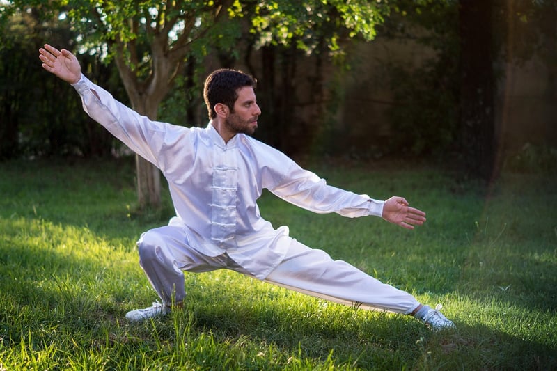 Tai Chi Guide